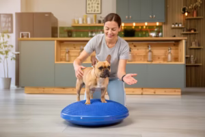 Kutya mozgás fejlesztése tornalabdán fizioterapeuta segítségével